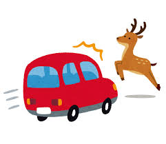 接骨院で交通事故の治療はなにするの？